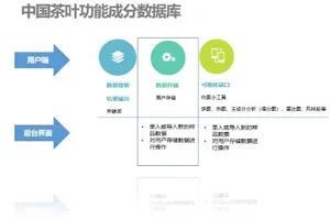 科技赋能云茶产业 重大专项驱动精深加工与健康研究双突破