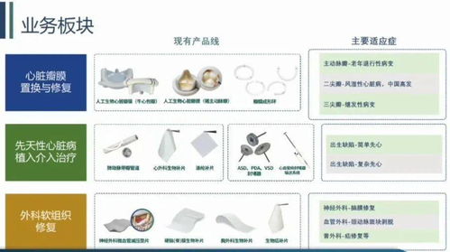 心脏的阀门坏了怎么办 这家科创板企业创始人30年潜心“补心”，六大产品填补国内空白